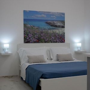Appartamento studio